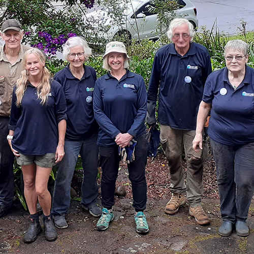 Easy Care Gardening