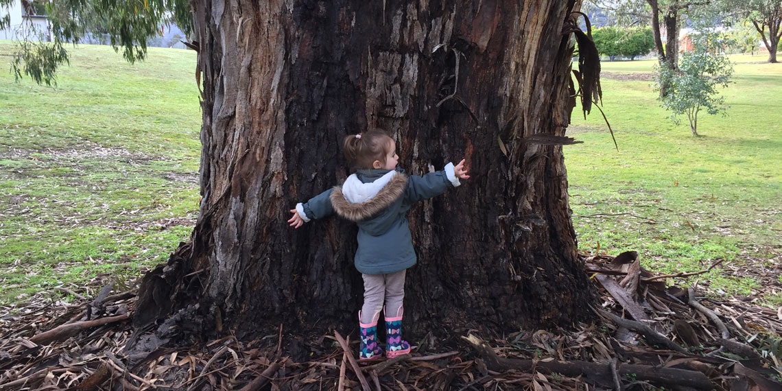 news love your trees.jpg