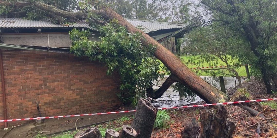 storm cleanup
