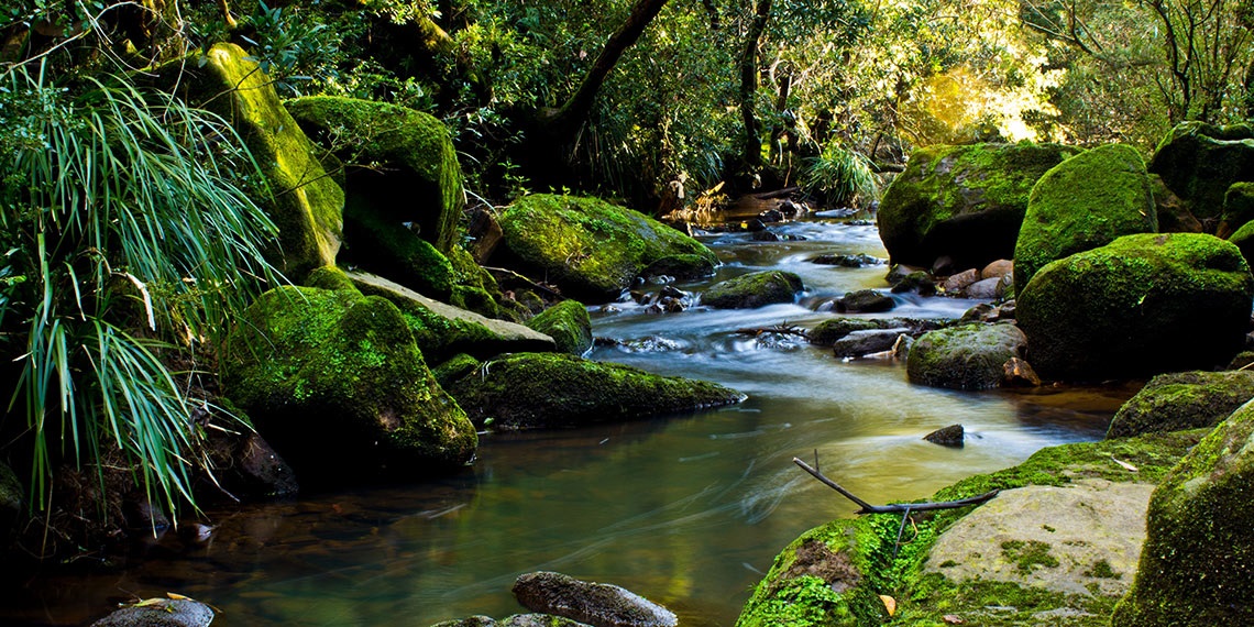 flood risk management