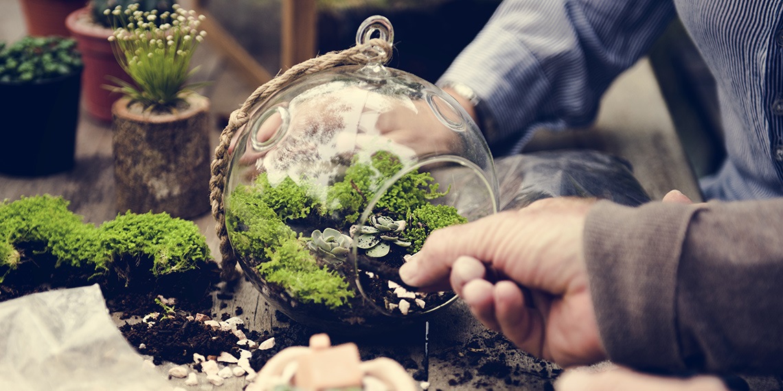 Terrarium workshop