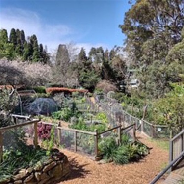 Turramurra Lookout community garden