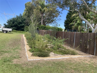 Woody meadows