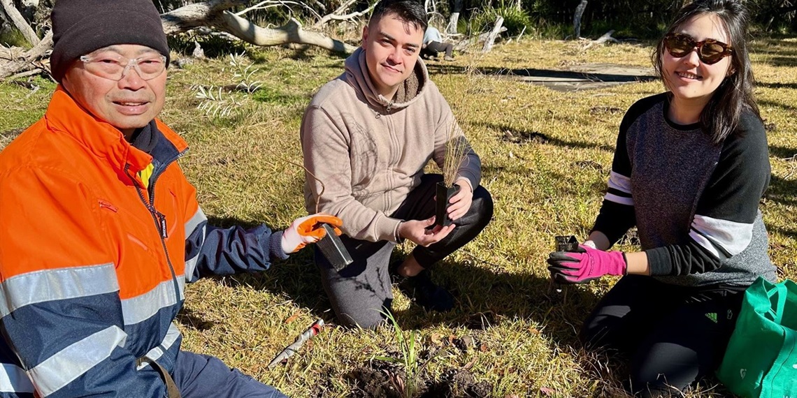 National Tree Day planting.jpg