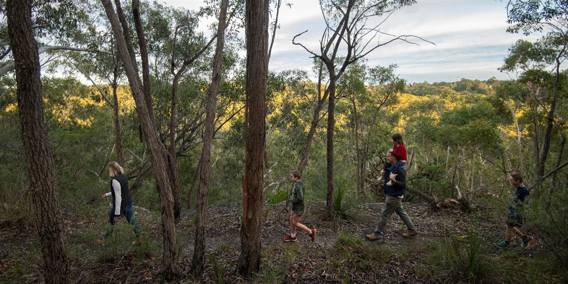 Wildflower Garden bushwalk