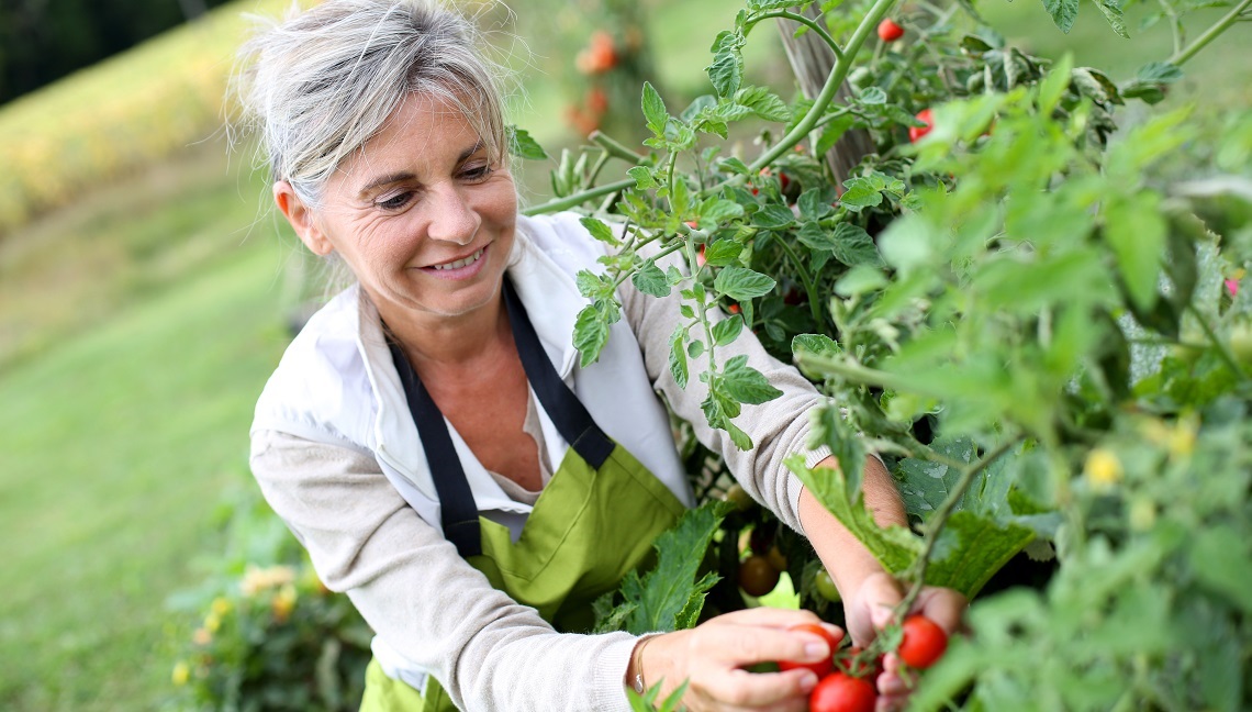 gardening web banner.jpg