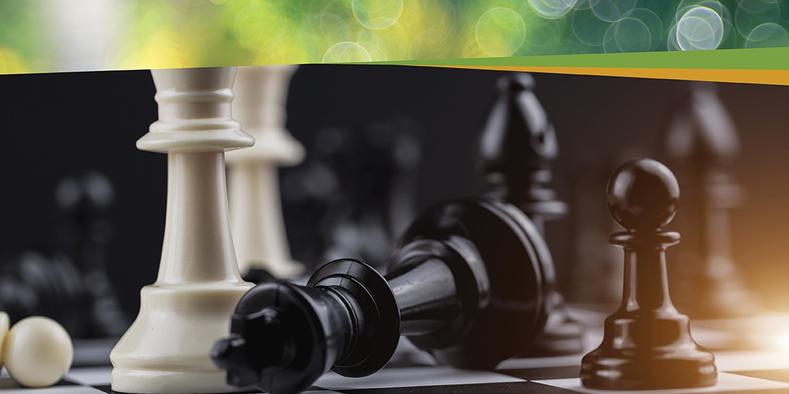 Seniors chess club