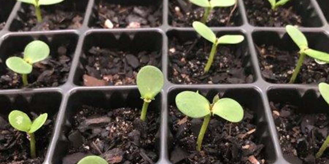 Propagation workshop