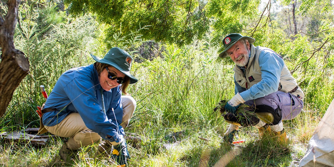 Introduction to bushcare & WH&S workshop