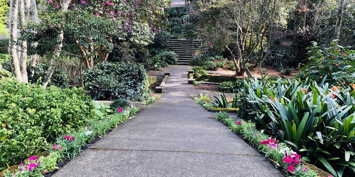 Swain Gardens Guided Walk