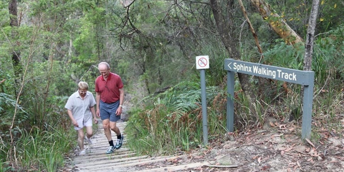 Guided Bushwalk - Sphinx Memorial to Bobbin Head Loop Track
