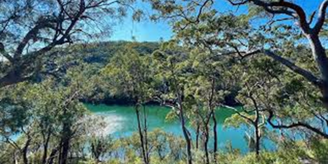Guided Bushwalk - Two Creeks Track