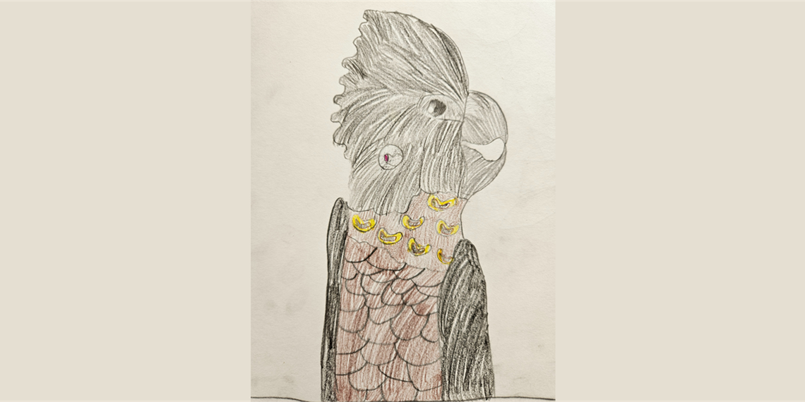 Beginning Drawing 