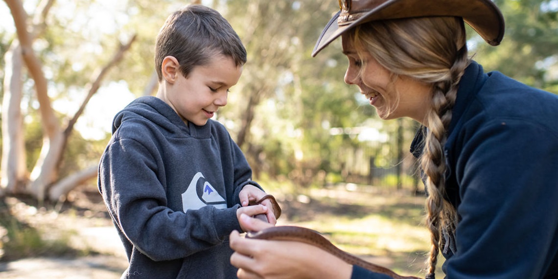 Animal encounters 30 jun