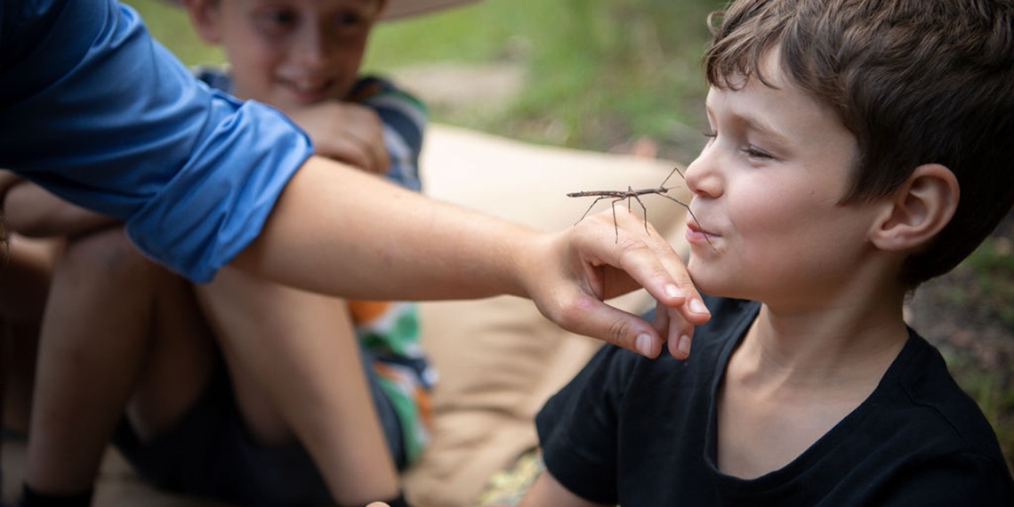 Minibeasts 18 july