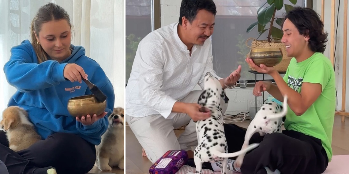 🐾 Puppy Meditation for Youth (Ages 12–18)
