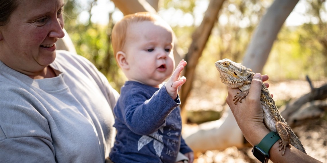 Nature Play - Fairies and Dragons