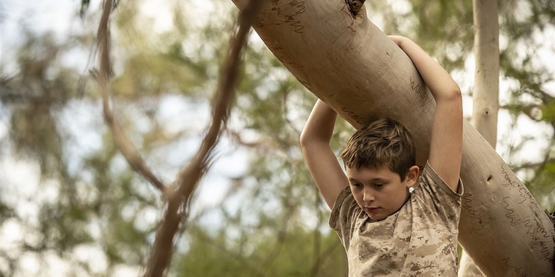 Nature Play (4-6) - Terrific trees