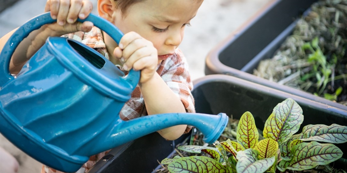 Nature Play (4-6)- Digging in the Veggie Patch