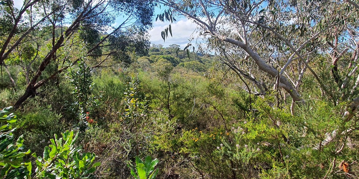 Eco Festival - Guided Walks