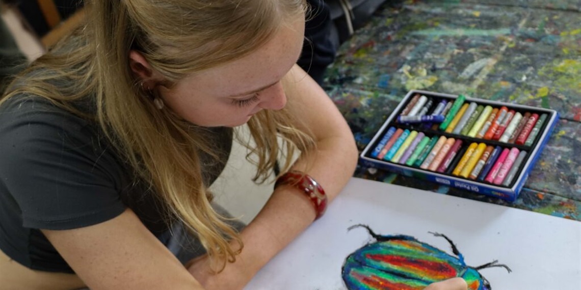 Emerging Artists - Drawing Skills